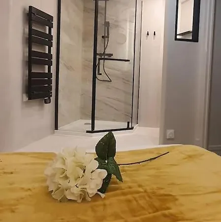 Apartment Vinicole Hypercentre, Bastille & Gare 9 Min A Pied Grenoble